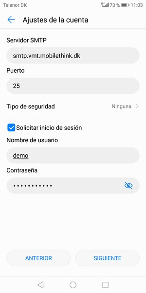 Introduzca la dirección de servidor saliente