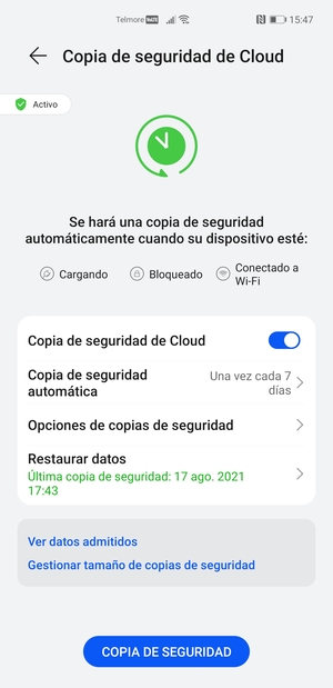 Seleccione COPIA DE SEGURIDAD