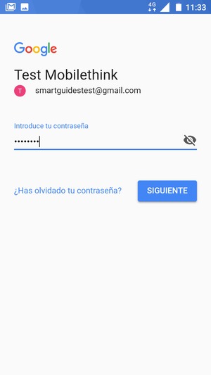 Introduzca su contraseña y seleccione SIGUIENTE