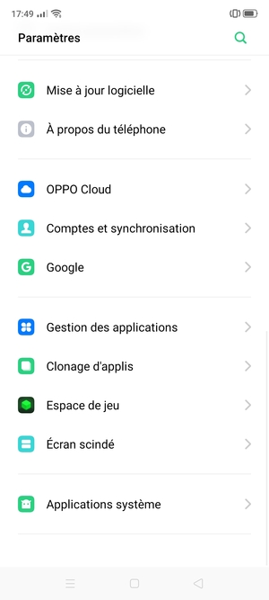 Faites défiler et sélectionnez Mise à jour logicielle