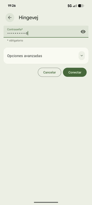 Introduzca la contraseña de Wi-Fi y seleccione Conectar