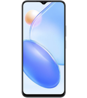 Honor Play 6C