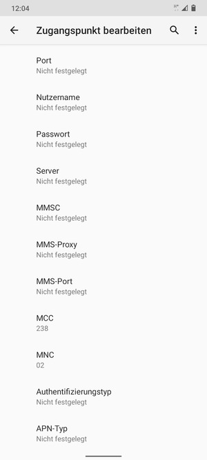 Scrollen Sie nach unten und geben Sie Internetinformationen ein