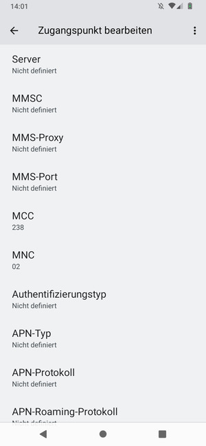 Scrollen Sie nach unten und geben Sie Internetinformationen ein