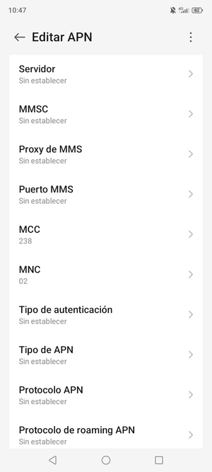 Desplácese hacia abajo e introduzca la información de Internet