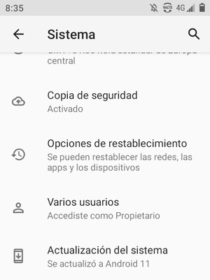 Seleccione Actualización del sistema