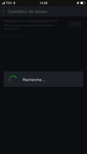 Veuillez attendre la fin de la recherche