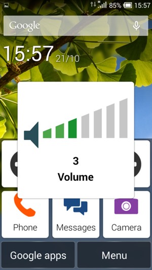 Continue to press to take the volume down to the required level