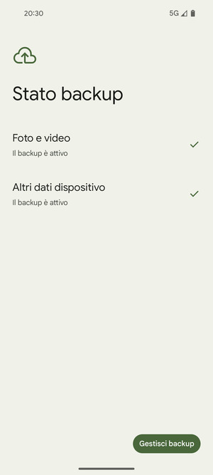 Seleziona Gestisci backup