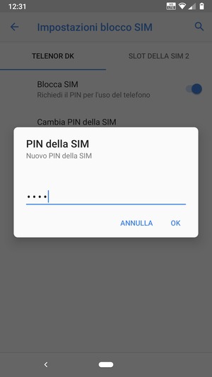 Inserisci Nuovo PIN della SIM e seleziona OK