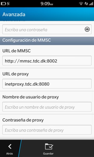 Desplácese hacia abajo e introduzca la información MMS y seleccione Guardar