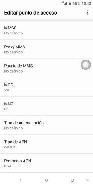 Desplácese hacia abajo e introduzca la información de Internet