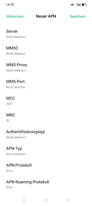 Scrollen Sie nach unten und geben Sie Internetinformationen ein