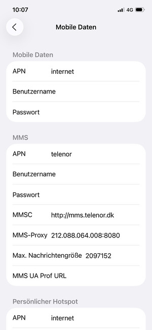 Geben Sie MMS-Informationen ein
