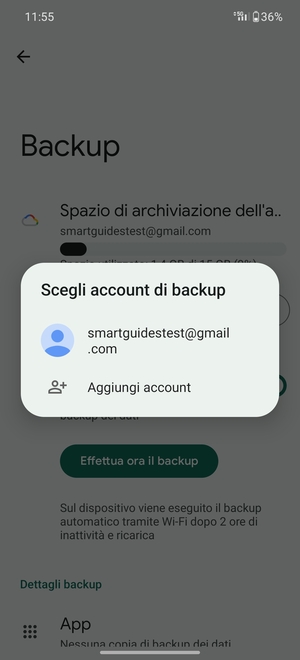 Seleziona il tuo account di backup