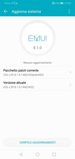 Se il tuo telefono è aggiornato, vedrai la seguente schermata