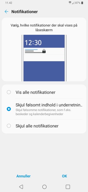 Vælg din foretrukne mulighed og vælg OK