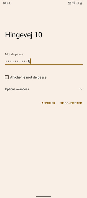 Saisissez le mot de passe du Wi-Fi et sélectionnez SE CONNECTER