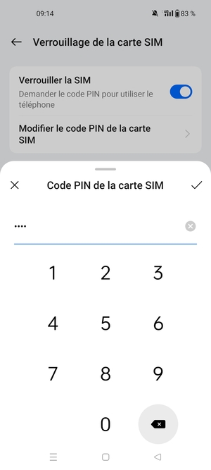Saisissez votre Nouveau code PIN de la carte SIM et sélectionnez OK