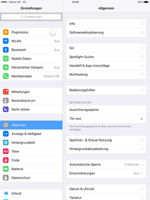 Wählen Sie Allgemein und Softwareaktualisierung