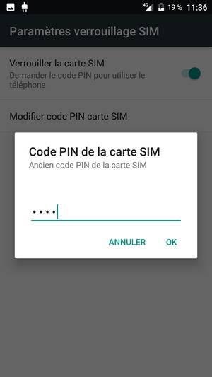 Saisissez votre Ancien code PIN de la carte SIM et sélectionnez OK