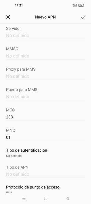 Desplácese hacia abajo e introduzca la información de Internet