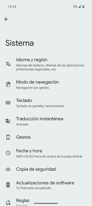 Seleccione Actualizaciones de software