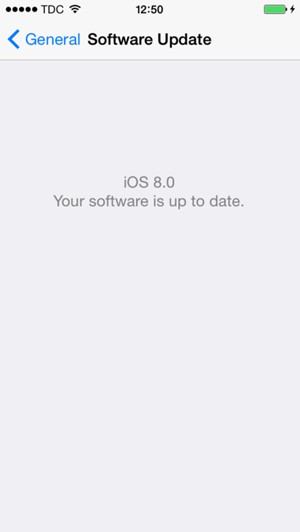 If your iPhone is up to date, you will see the following screen.