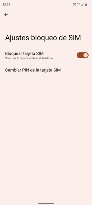 Seleccione  Cambiar PIN de la tarjeta SIM