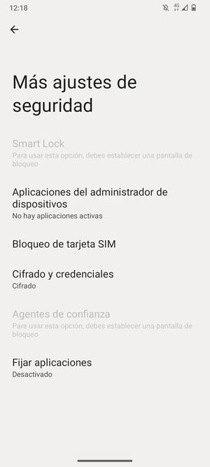 Seleccione Bloqueo de tarjeta SIM