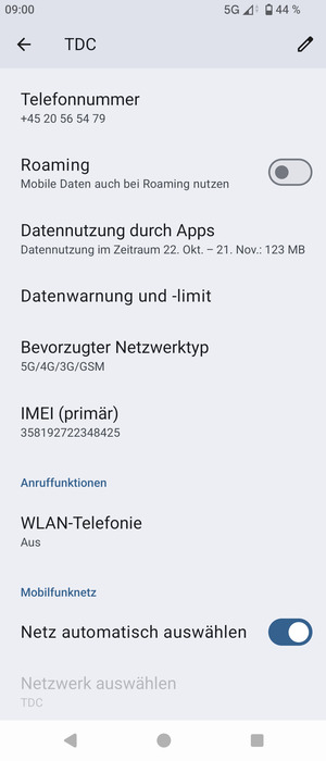 Scrollen Sie und wählen Sie Bevorzugter Netztyp
