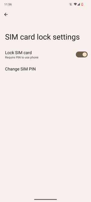 Select Change SIM PIN