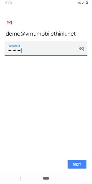 Enter your password and select NEXT