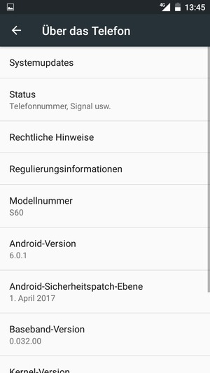 Wählen Sie Systemupdates
