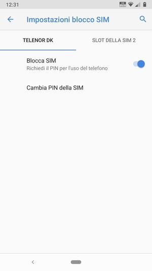 Seleziona Public e Cambia PIN della SIM