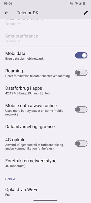 Scroll til og vælg Foretrukken netværkstype