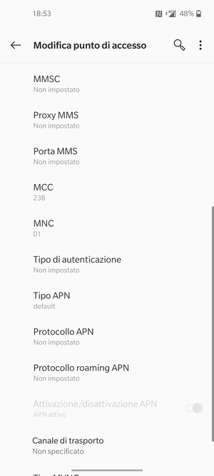 Scorri verso il basso e inserisci le informazioni di internet