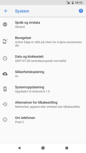 Velg Systemopdatering