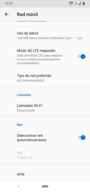 Desplácese y seleccione APN