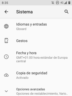 Seleccione Opciones avanzadas
