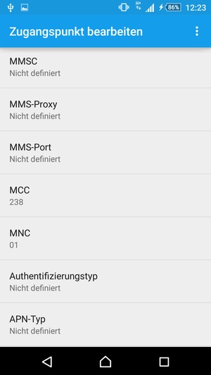 Scrollen Sie nach unten und geben Sie Ihre Internetinformationen ein
