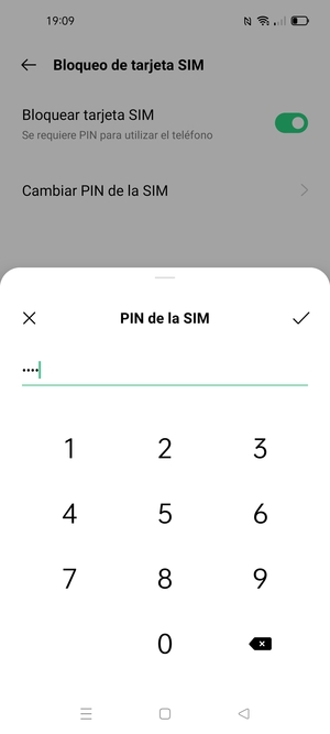 Introduzca su PIN de tarjeta SIM actual y seleccione Aceptar