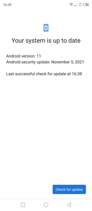If your phone is up to date, you will see the following screen