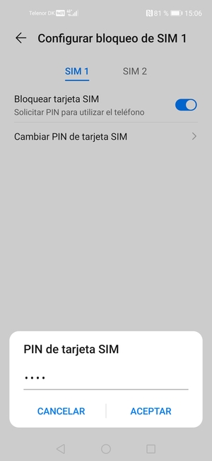 Introduzca su Antiguo PIN de tarjeta SIM y seleccione ACEPTAR