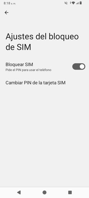 Seleccione Cambiar PIN de la tarjeta SIM