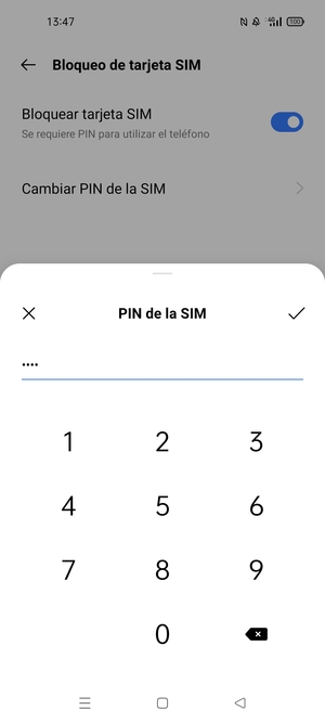 Introduzca PIN actual de la tarjeta SIM y seleccione Aceptar