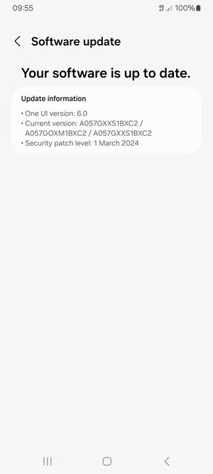 If your phone is  up to date, you will see the following screen
