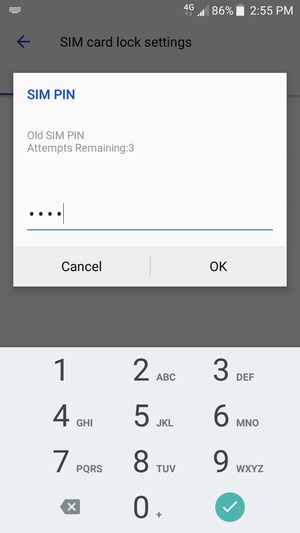 Enter your Old SIM PIN and select OK