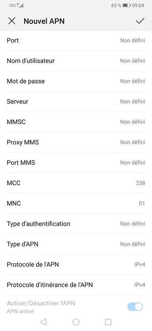 Faites défiler vers le bas et saisissez les informations MMS