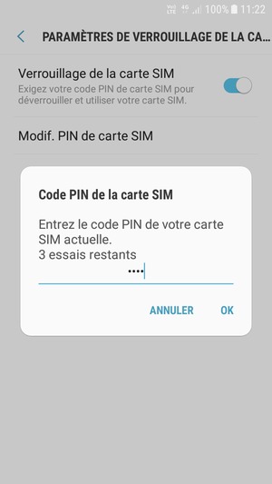 Saisissez votre Code PIN de la carte SIM actuelle et sélectionnez OK
